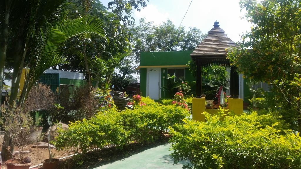 Sunshine Guest House IndiaTiruvannāmalai エクステリア 写真